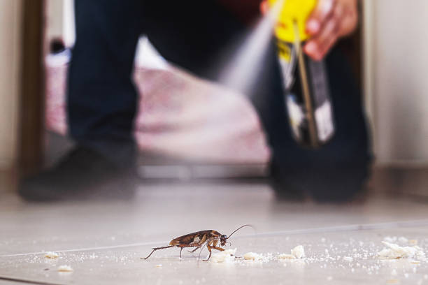 Professional Pest Control in Dyersburg, TN